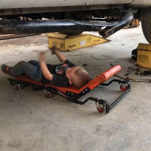 Meet your Posher, Jeffrey - Picture 1 of 1